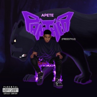 Panther (Freestyle) lyrics | Boomplay Music