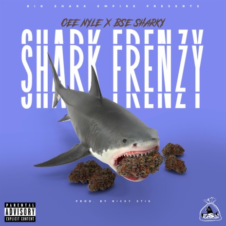 Shark Frenzy ft. BSE Sharky | Boomplay Music
