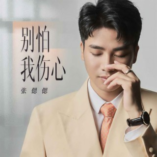 别怕我伤心 (伴奏) lyrics | Boomplay Music