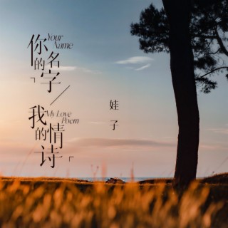 你的名字我的情诗 (Live合唱版伴奏) lyrics | Boomplay Music