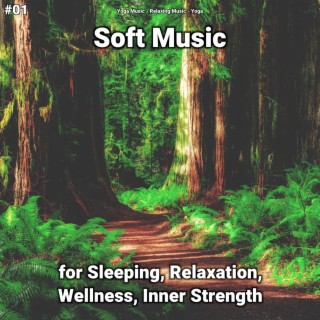 #01 Soft Music for Sleeping, Relaxation, Wellness, Inner Strength