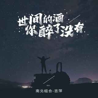 世间的酒你醉了没有 lyrics | Boomplay Music