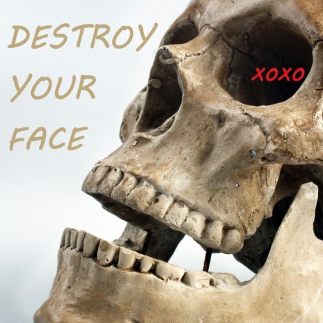 DESTROY YOUR FACE