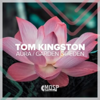 Tom Kingston
