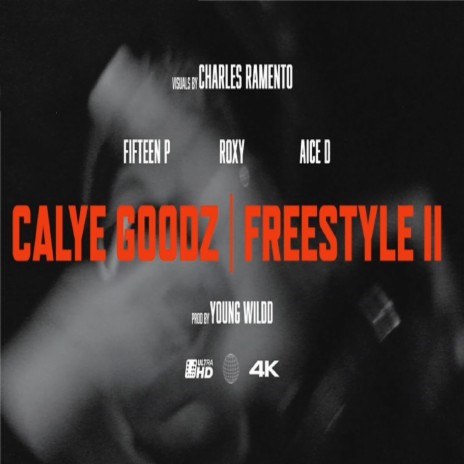 FREESTYLE II ft. FIFTEEN P, ROXY & AICE D | Boomplay Music