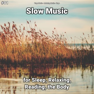 #01 Slow Music for Sleep, Relaxing, Reading, the Body