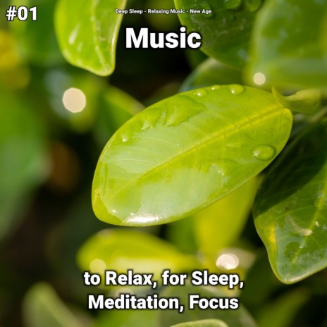 Yoga Music ft. Relaxing Music & Deep Sleep
