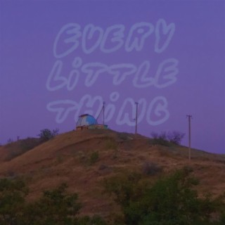 Every Little Thing