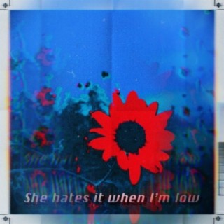 She hates it when I'm low (feat. Good Riddance)