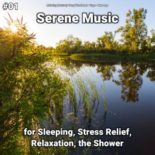 #01 Serene Music for Sleeping, Stress Relief, Relaxation, the Shower