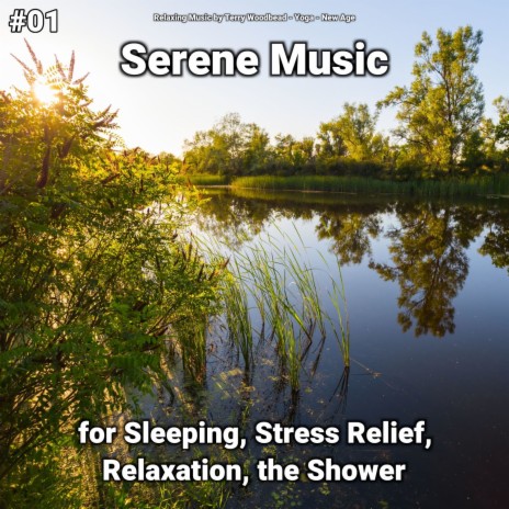Soothing Music for Reading ft. New Age & Relaxing Music by Terry Woodbead | Boomplay Music