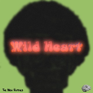 Wild Heart lyrics | Boomplay Music