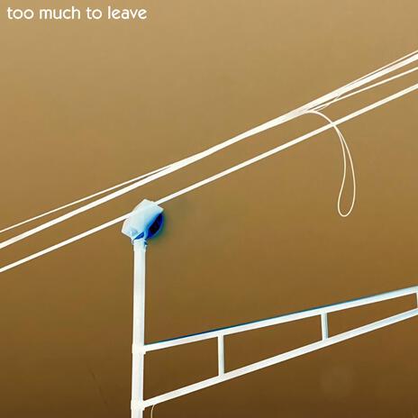 Too Much To Leave | Boomplay Music