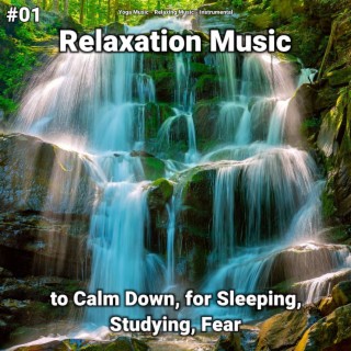 #01 Relaxation Music to Calm Down, for Sleeping, Studying, Fear