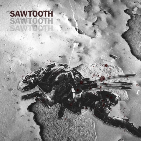 Sawtooth | Boomplay Music