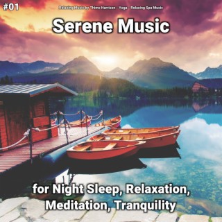 #01 Serene Music for Night Sleep, Relaxation, Meditation, Tranquility