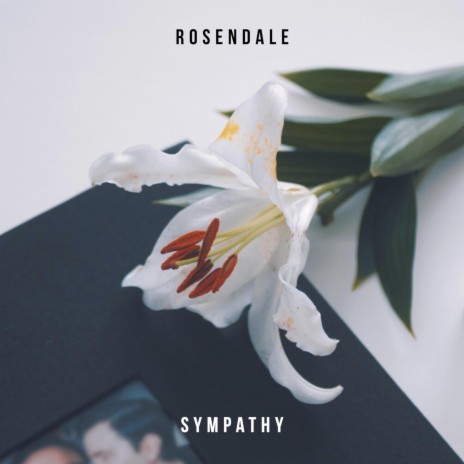 Sympathy | Boomplay Music