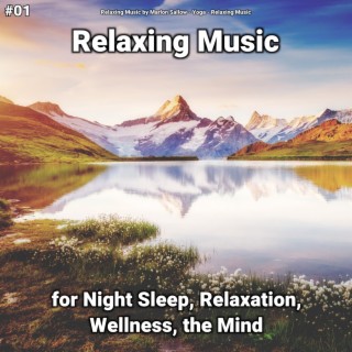 #01 Relaxing Music for Night Sleep, Relaxation, Wellness, the Mind