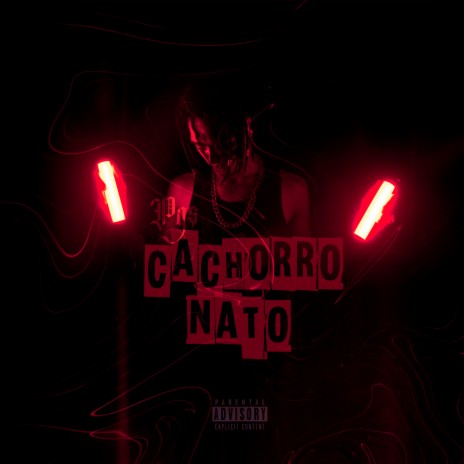 Cachorro Nato | Boomplay Music