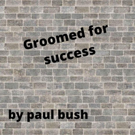 groomed for sucess | Boomplay Music