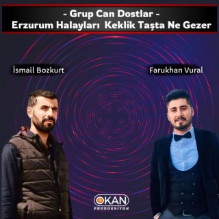 Grup Can Dostlar - Keklik Taşta Ne Gezer Halay