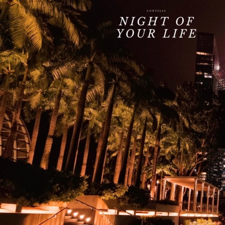 NIGHT OF YOUR LIFE | Boomplay Music
