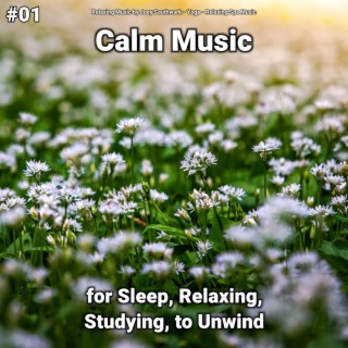 #01 Calm Music for Sleep, Relaxing, Studying, to Unwind