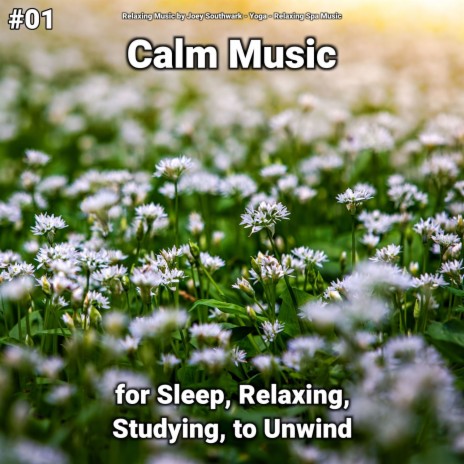 Comforting Relaxation Music ft. Yoga & Relaxing Spa Music