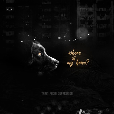 Where Is My Home | Boomplay Music