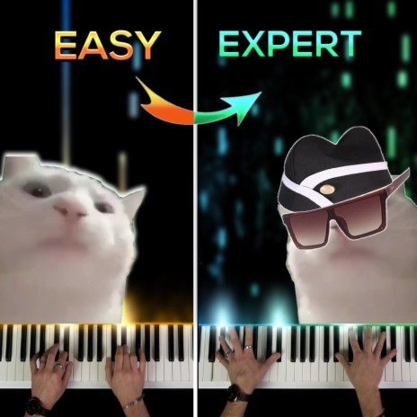 Cat Vibing to Ievan Polkka (EASY to EXPERT) | Boomplay Music