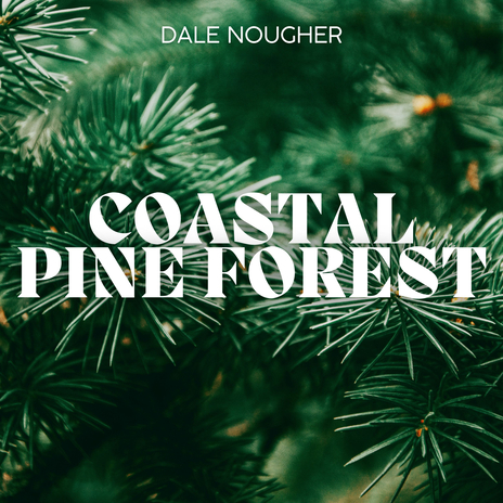 Coastal Pine Forest | Boomplay Music