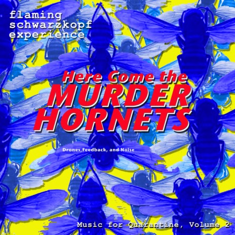 Here Come the Murder Hornets!