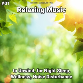 #01 Relaxing Music to Unwind, for Night Sleep, Wellness, Noise Disturbance