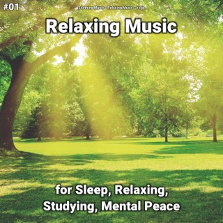 #01 Relaxing Music for Sleep, Relaxing, Studying, Mental Peace