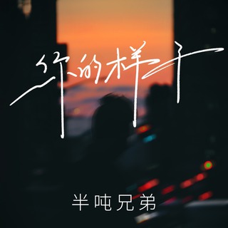 你的样子 (伴奏) lyrics | Boomplay Music