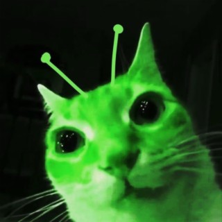 Meow From Space