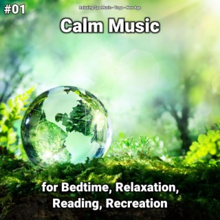 #01 Calm Music for Bedtime, Relaxation, Reading, Recreation