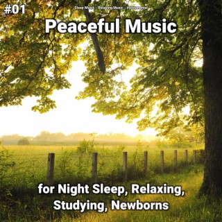 #01 Peaceful Music for Night Sleep, Relaxing, Studying, Newborns