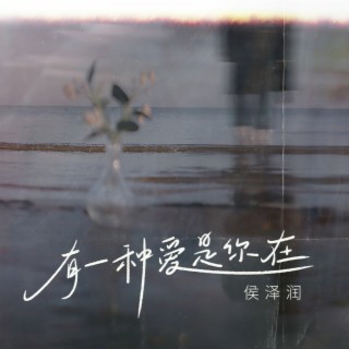 有一种爱是你在(DJ默涵版) (DJ默涵版) lyrics | Boomplay Music