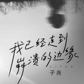 我已经走到崩溃的边缘 (伴奏) lyrics | Boomplay Music