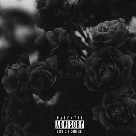 Roses Dont Die | Boomplay Music