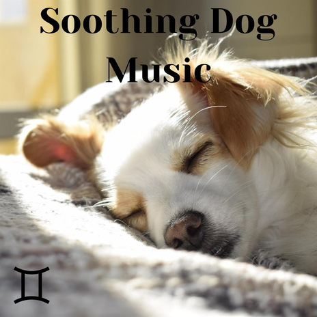 Calming Lofi Dog Music ft. Dog Music Club & Relaxmydog | Boomplay Music