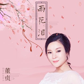 雨花泪 (伴奏) lyrics | Boomplay Music