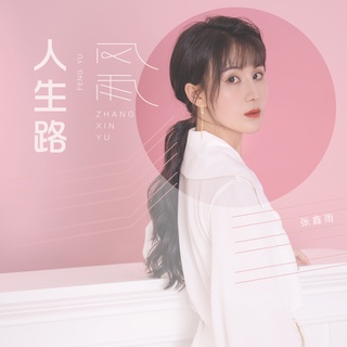 风雨人生路 (DJ沈念版) lyrics | Boomplay Music