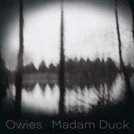 Madam Duck | Boomplay Music