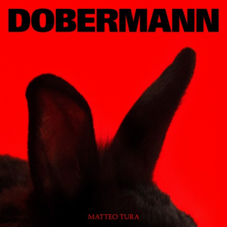 Dobermann