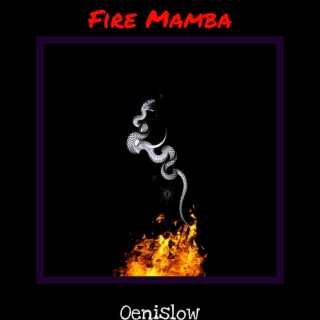 Fire Mamba