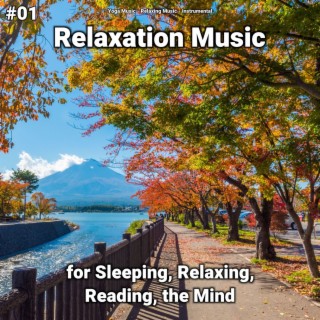 #01 Relaxation Music for Sleeping, Relaxing, Reading, the Mind