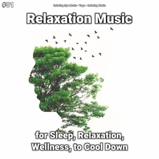 #01 Relaxation Music for Sleep, Relaxation, Wellness, to Cool Down