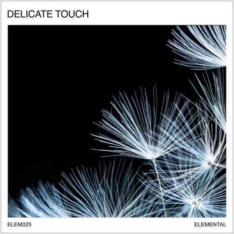 Delicate Touch ft. George Holliday | Boomplay Music